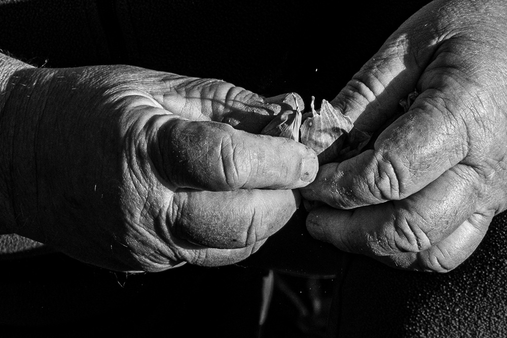 concorso fotografico ancescao menzione