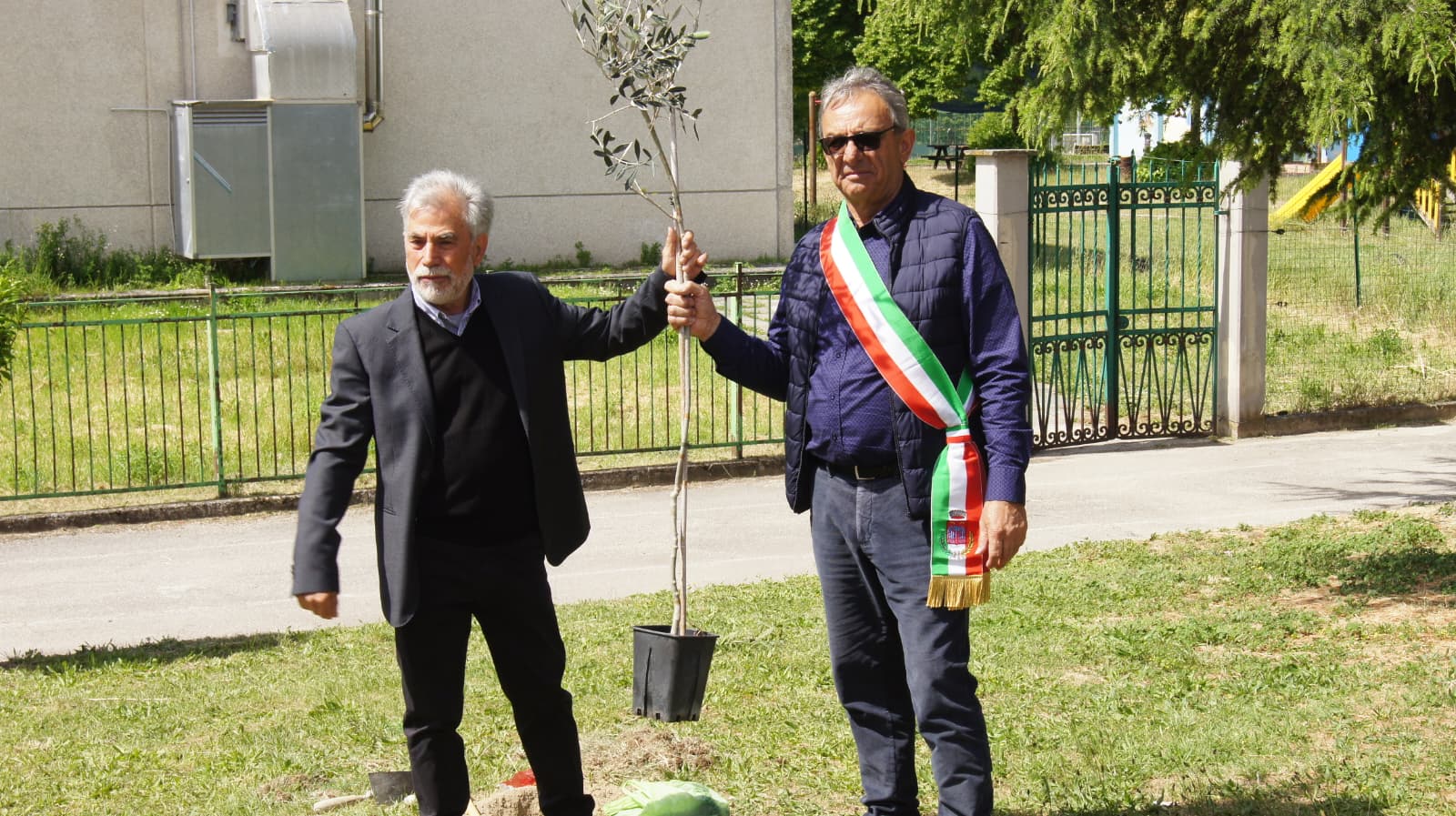 ancescao un albero per ogni nato