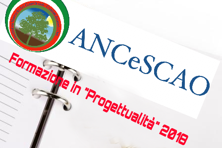 Progettualità 2018