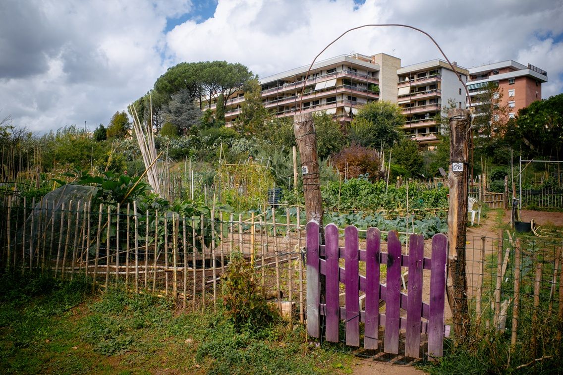 concorso fotografico ancescao 3 classificato