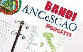 Logo - Bandi e Progetti