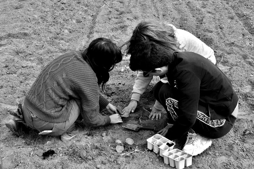 concorso fotografico ancescao menzione