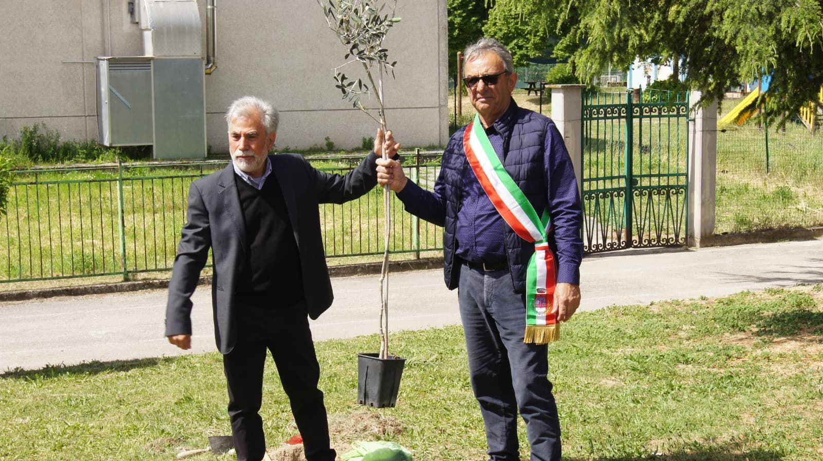 ancescao un albero per ogni nato