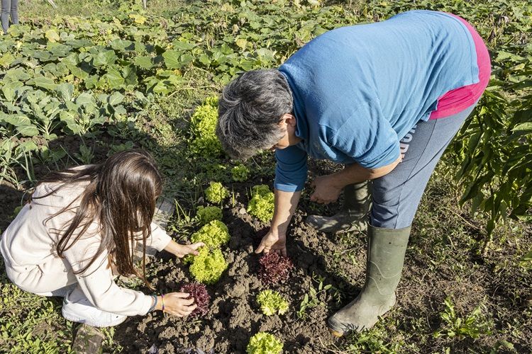 concorso fotografico ancescao menzione