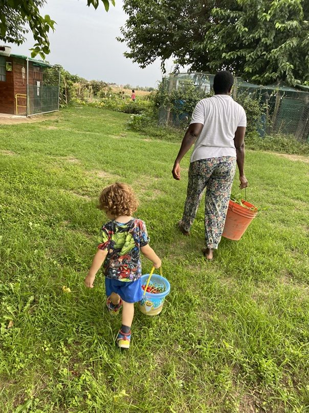concorso fotografico ancescao 1 classificato