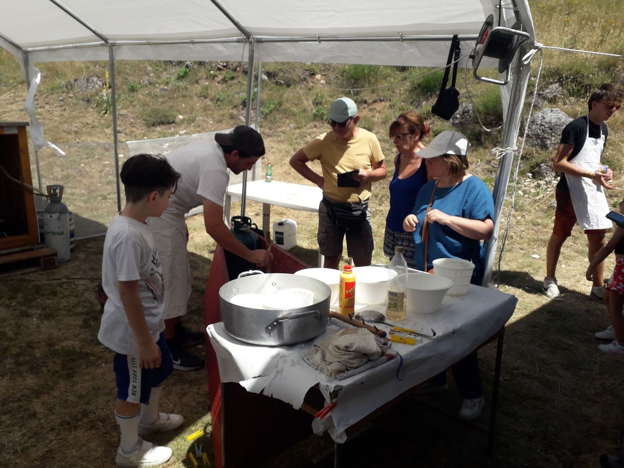 ancescao al pascolo con i pastori