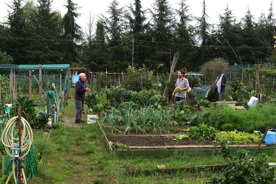 concorso fotografico ancescao 4 classificato